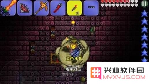 泰拉瑞亚地牢守卫怎么打 PE地牢守卫简单打法