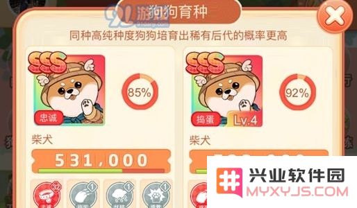 家居改造王狗狗怎么培养 狗狗培养讲解
