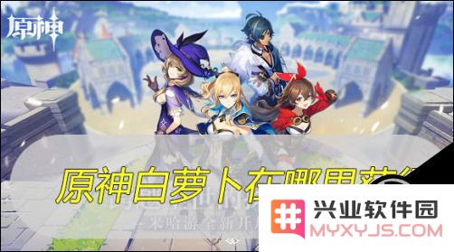 原神白萝卜可以买吗