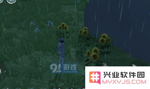 创造与魔法向日葵在哪里?