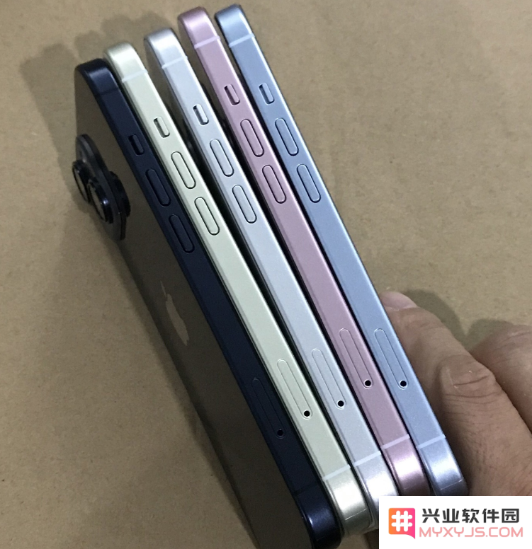 苹果 iPhone 15 / Pro长什么样？iPhone 15 / Pro机模展示