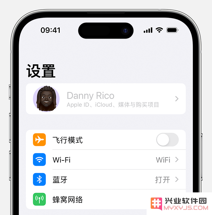 iPhone 设置中的 Apple ID 显示为灰色无法使用怎么办？