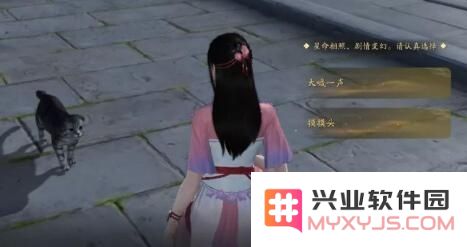 天涯明月刀手游猫之友奇遇全流程完美结局策略与心得分享