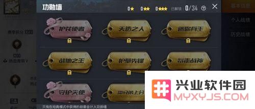 和平精英勋章有哪些 和平精英勋章大全