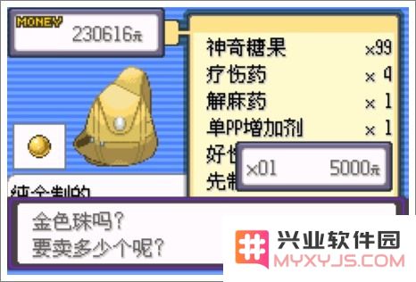 口袋妖怪漆黑的魅影