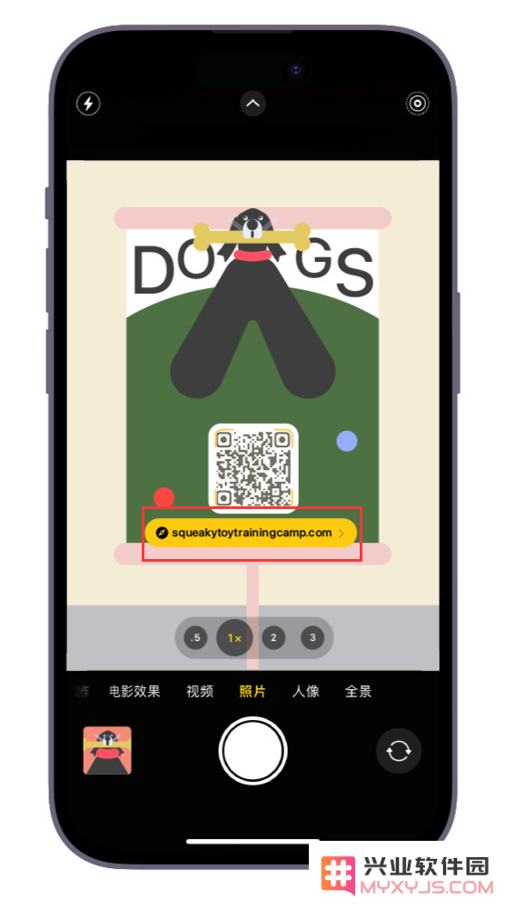 小技巧：iPhone 自带的相机可以直接扫码二维码，还有这些优点