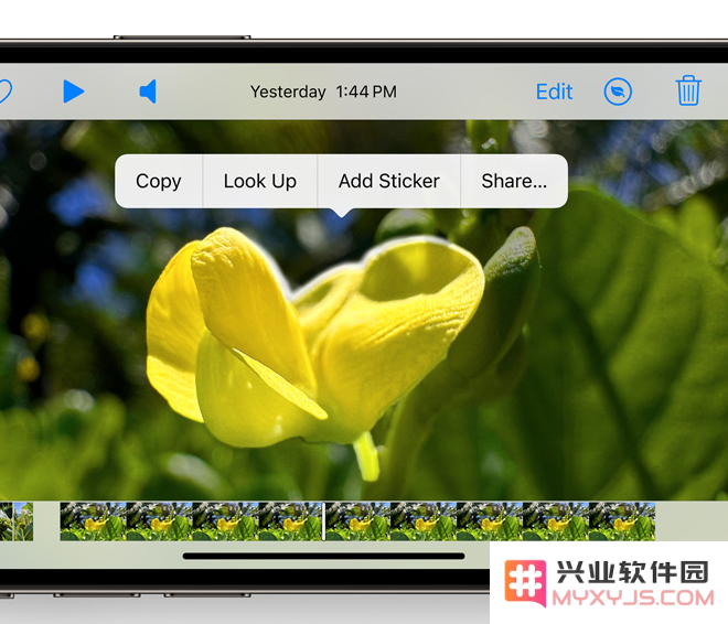 iOS 17 值得留意的细节改进汇总：实用离线地图、支持看图查询菜谱等