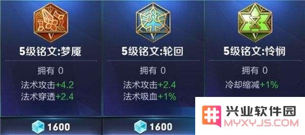 王者荣耀肉盾英雄命名与搭配策略的实用指南，助你提升游戏实力