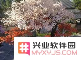 逆水寒手游：英雄卡庆岁逢春的获取攻略