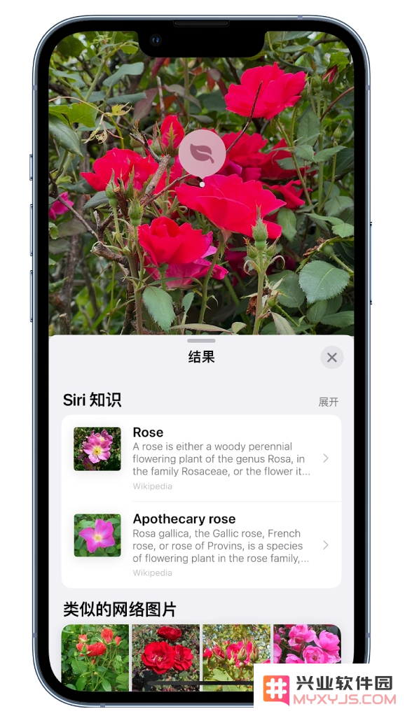 苹果 iOS 17“看图查询”功能使用方法