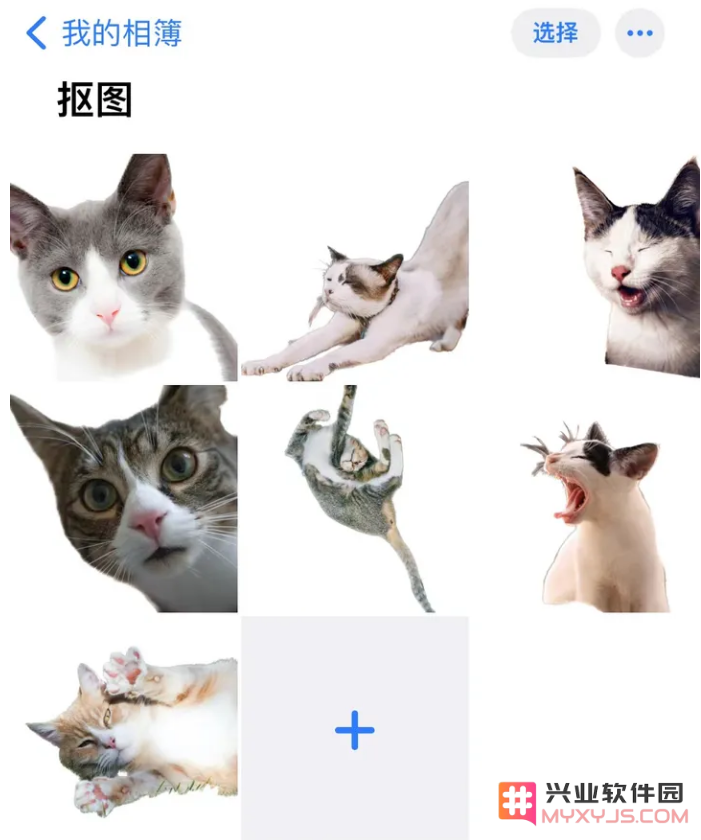 iPhone 14可以批量抠图吗？iOS16批量抠图方法