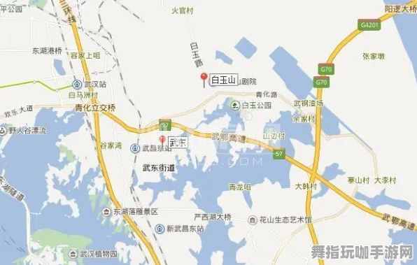 实测分析咸鱼之王隐藏关卡 剖析爆款攻略｜2025年04月全面解读