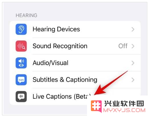 iOS 16中如何开启实时字幕？iPhone14开启实时字幕方法