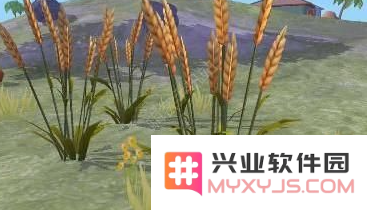 创造与魔法蓝马饲料制作攻略