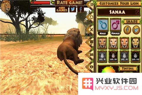 3D狮子模拟好玩吗 3D狮子模拟玩法简介