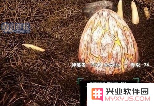 方舟生存进化手游怎么抓火龙 方舟生存进化火龙驯服技巧攻略