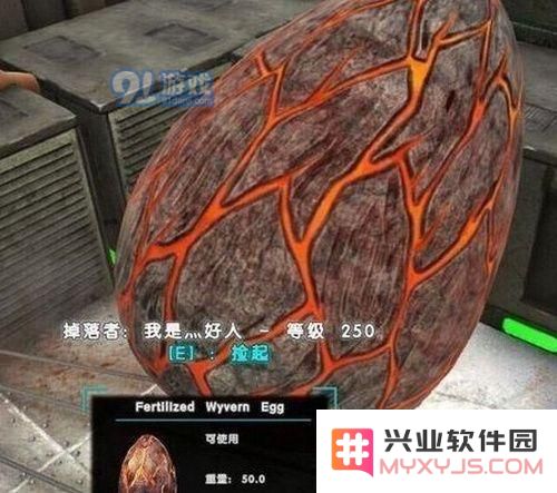方舟生存进化手游怎么抓火龙 方舟生存进化火龙驯服技巧攻略