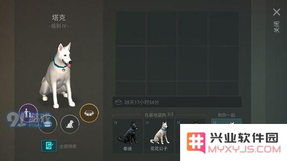 地球末日生存宠物狗怎么带出门?宠物狗带出门玩法介绍图片2