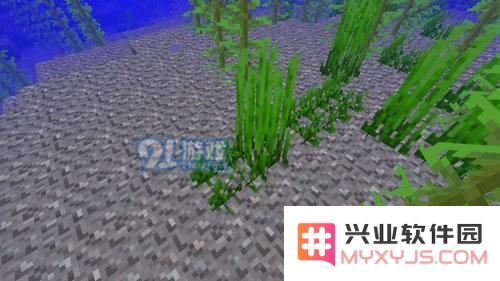 我的世界海草