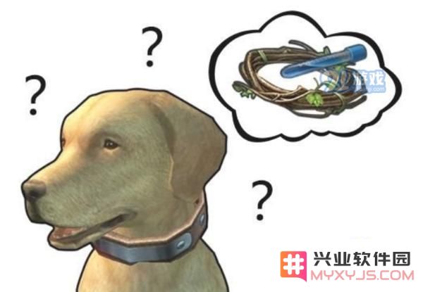 明日之后狗狗有哪几种性格 狗狗的13种性格介绍一览