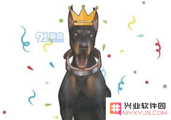 明日之后狗狗有哪几种性格 狗狗的13种性格介绍一览