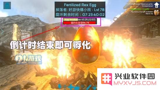 方舟生存进化手机版怎么孵蛋 方舟生存进化正确孵蛋方法解析