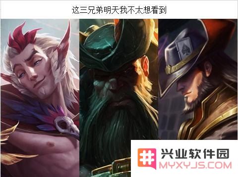 英雄联盟职业赛辅助