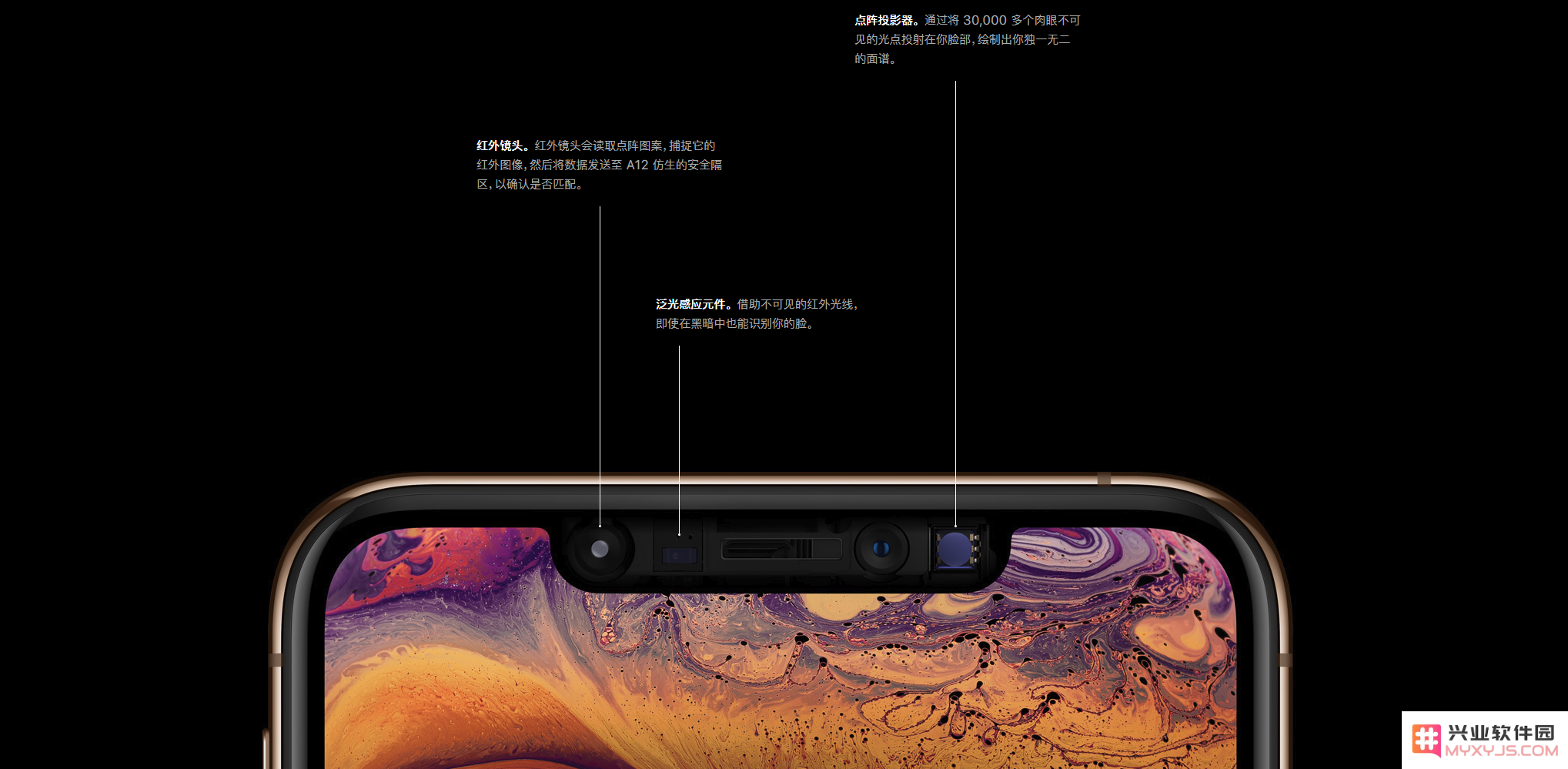 苹果推出中国特色版 iPhone 是怎么回事？发布的可能性大吗？