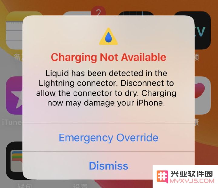 非常容易损坏的 iPhone 充电线，到底出了什么问题？