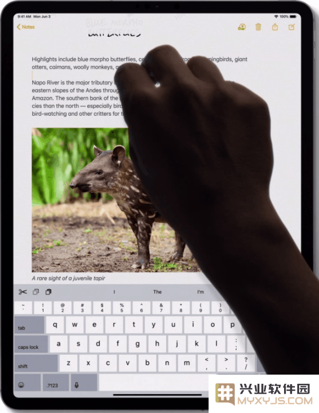 提升效率：在 iPadOS 上编辑文本的 5 个新体验