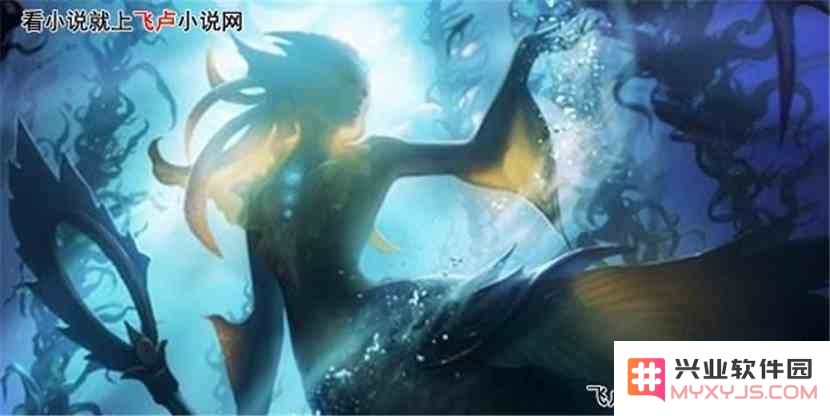 英雄联盟娜美是鲨鱼吗