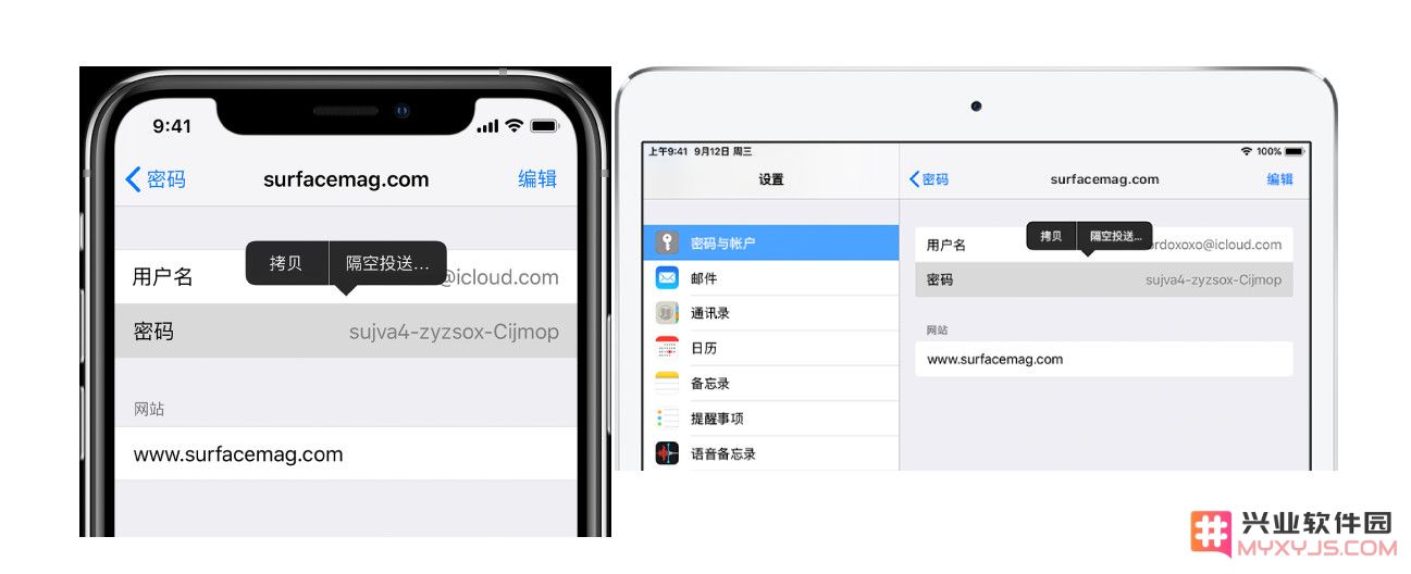 在 iPhone 上管理账户密码的 3 个小技巧
