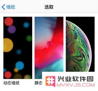 iPhone 拍照技巧：运用“实况照片”功能抓拍最美好的画面
