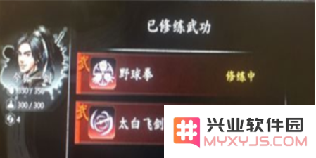 河洛群侠传中的野球拳如何迅速提升等级？其伤害输出效果究竟如何？