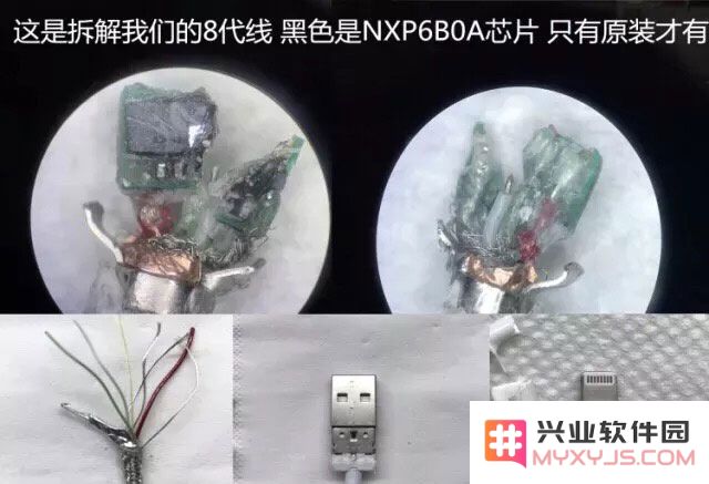 购买iPhone数据线时是否必须选择官方渠道，还是可以考虑其他选择？