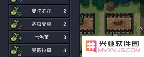 元气骑士中的曼德拉草有什么实际用途和作用解析