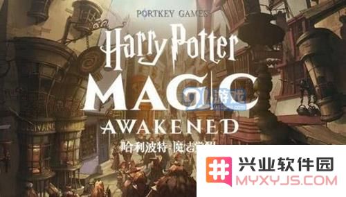 哈利波特魔法觉醒地区排名显示方式及设置方法详解