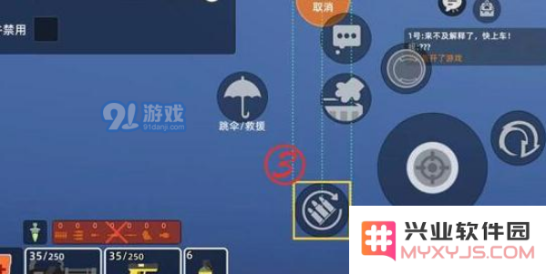 如果小动物之星队员突然倒地受伤，我们该如何应对和处理相关情况呢？