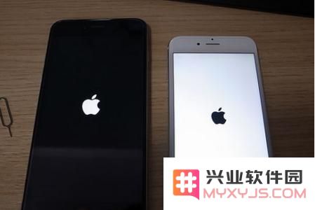 如果你的苹果iPhone手机突然死机了，该如何有效应对和解决问题？