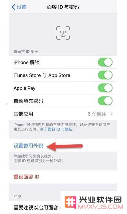 关于面容 ID 的 6 个使用技巧