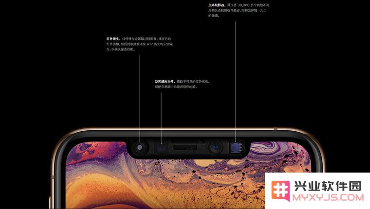 为什么正面是白色屏幕面板的 iPhone 逐渐消失？