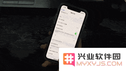 如何在 iPhone X 系列上使用单手模式？