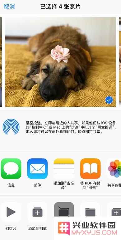 如何找回 iPhone 上丢失的照片？
