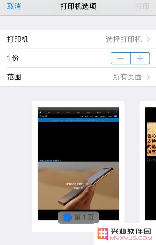 iPhone 小技巧：不借助第三方插件将网页转存为 PDF 文件