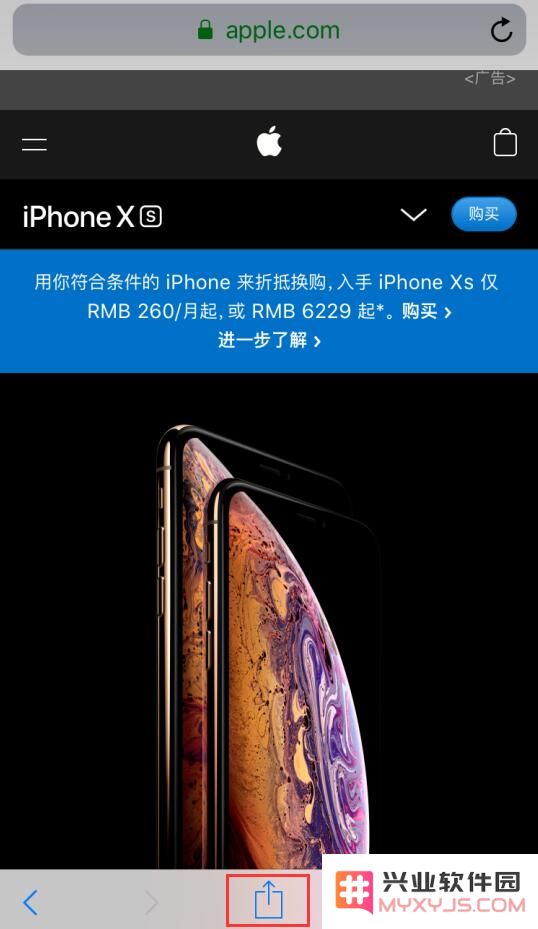 iPhone 使用技巧：如何在不依赖第三方应用程序的情况下将网页直接转换成 PDF 文档