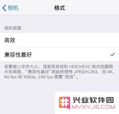 iPhone XS/XS Max 相册中的照片为何偶尔出现模糊情况及解决思路