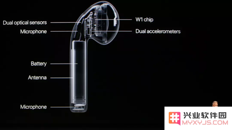 为什么 AirPods 两只耳机电池耗电速度有差异？