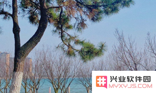 小萌图记编辑大师官方