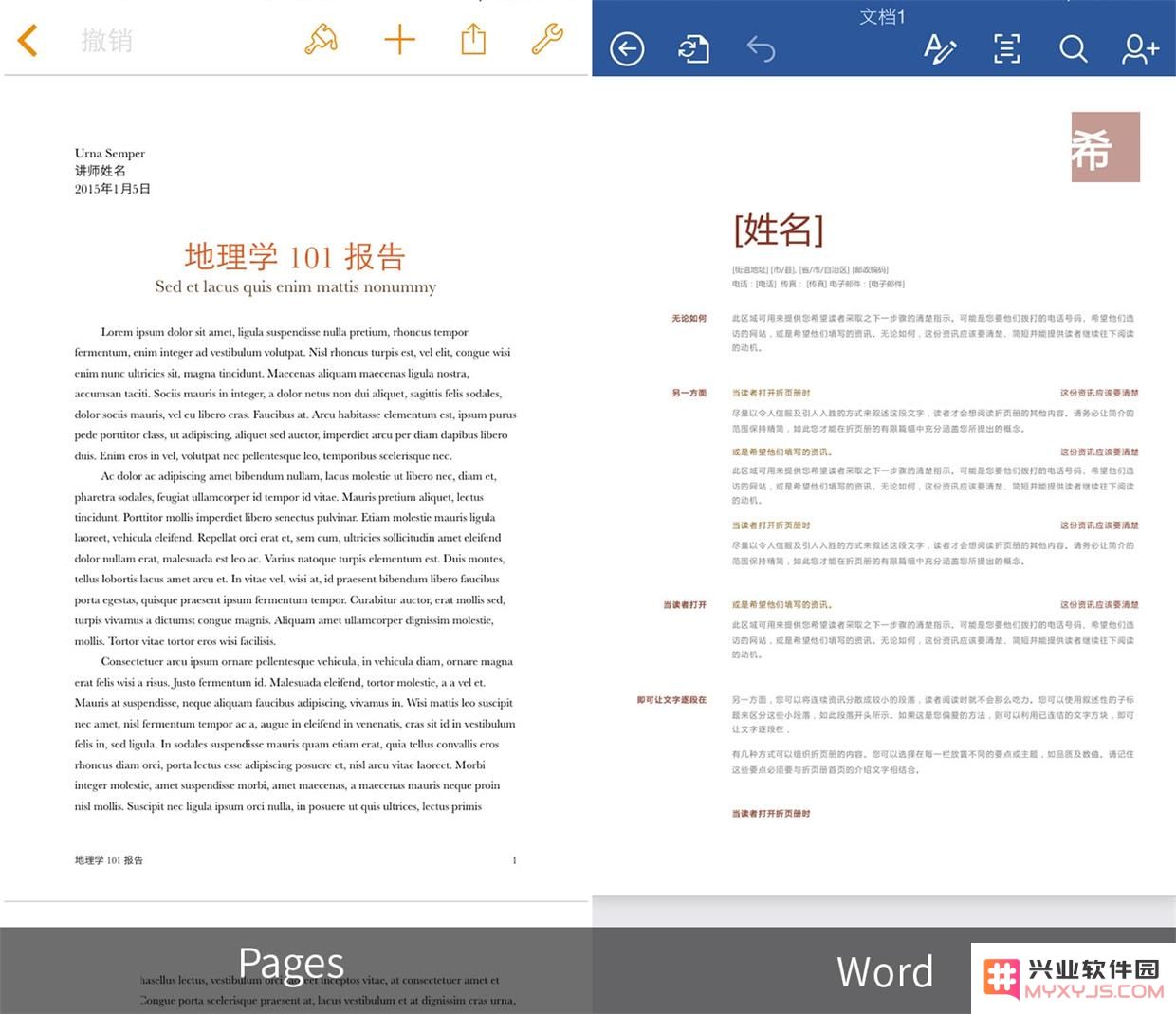 在 iPhone 和 iPad 设备上使用 Word 与 Pages，哪一个更适合用户需求？