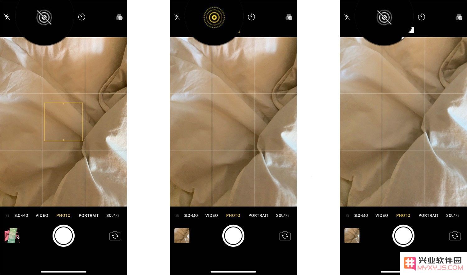 全面解析 | 掌握 iPhone 「实况照片」的使用技巧与注意事项，提升你的拍照体验